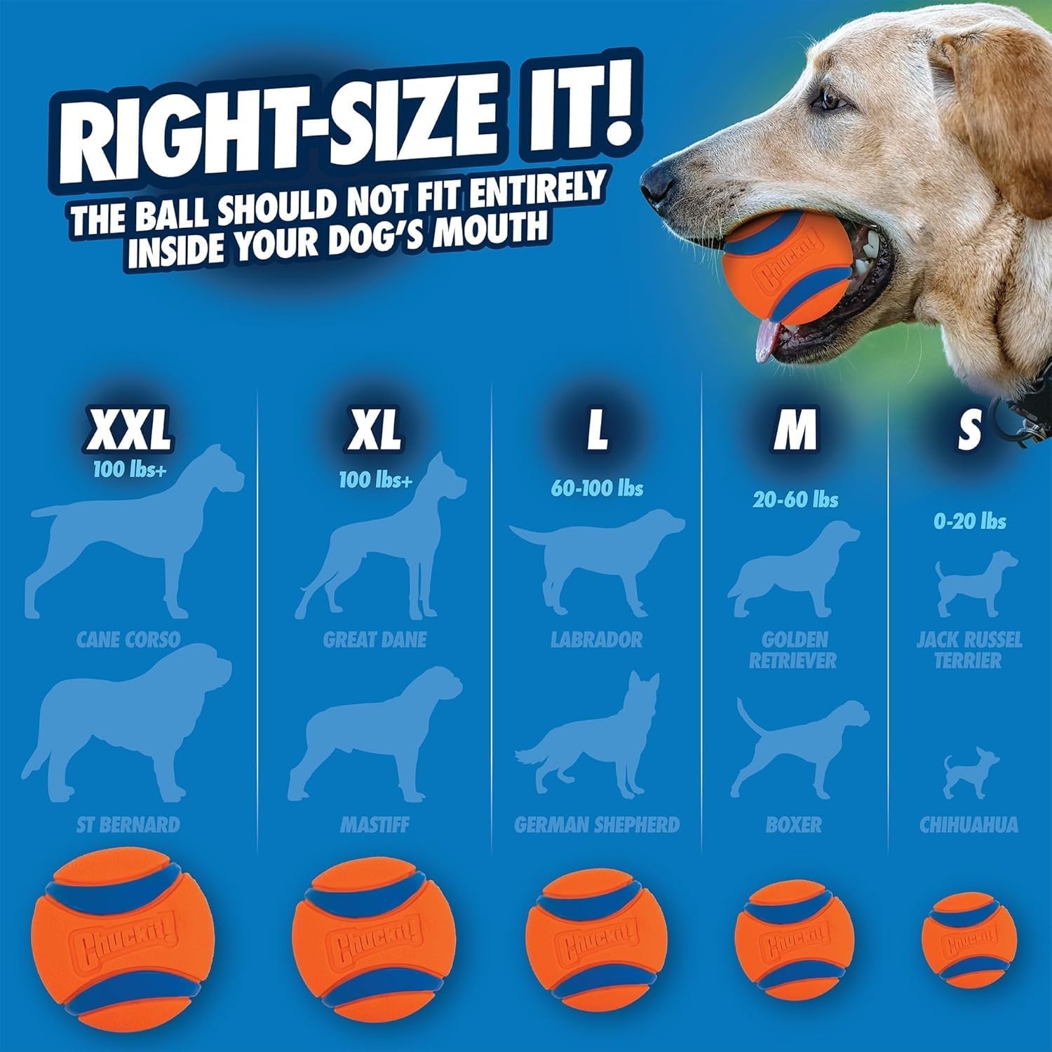 image:imageChuckit Ultra Ball Dog Toy Medium Bouncy Fetch Balls For Dogs 2060 lbs Made from Durable Rubber Floating Water Pet Toys Size Medium 25inch Diameter Pack of 4Medium Pack of 6