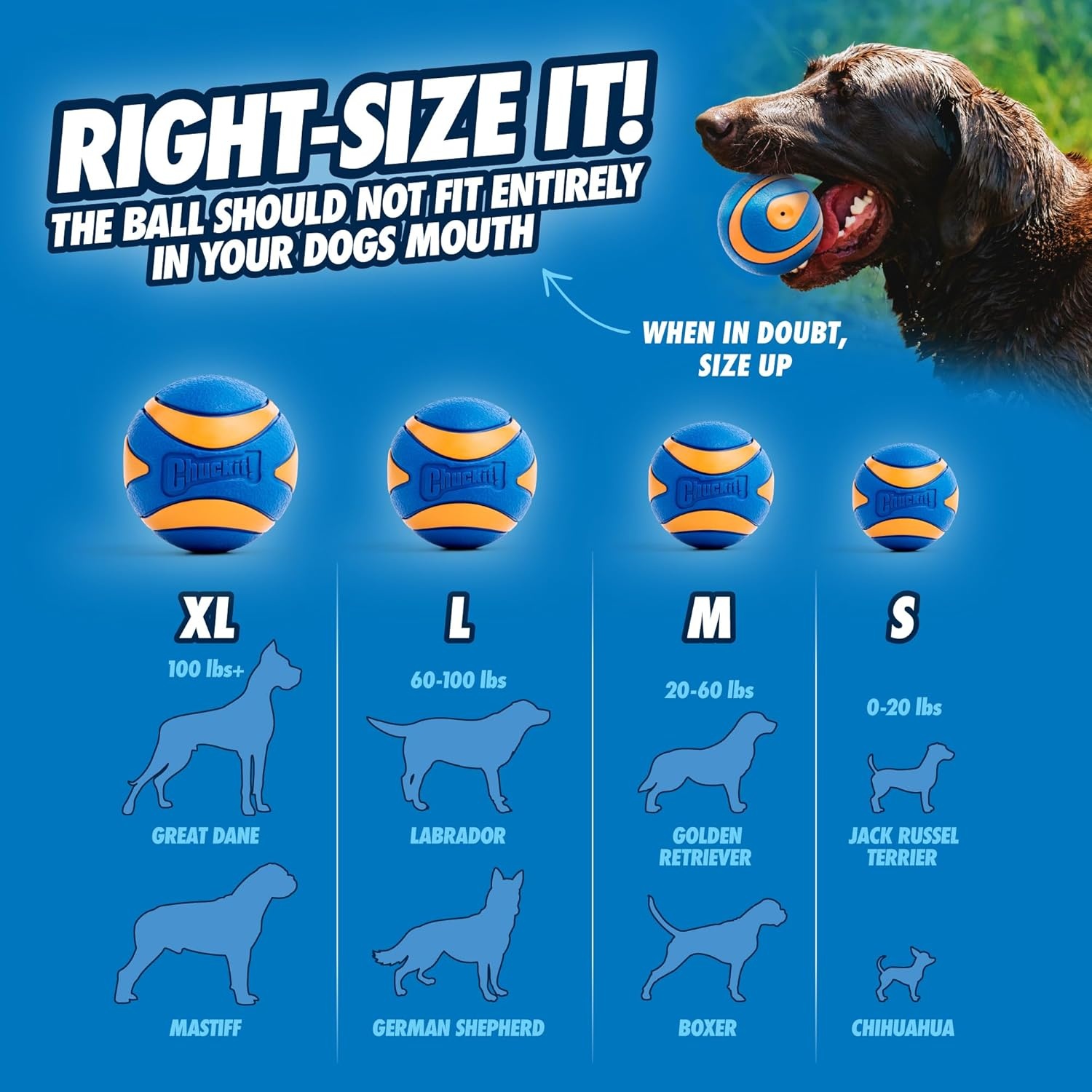 image:imageChuckit Ultra Ball Dog Toy Medium Bouncy Fetch Balls For Dogs 2060 lbs Made from Durable Rubber Floating Water Pet Toys Size Medium 25inch Diameter Pack of 4Medium