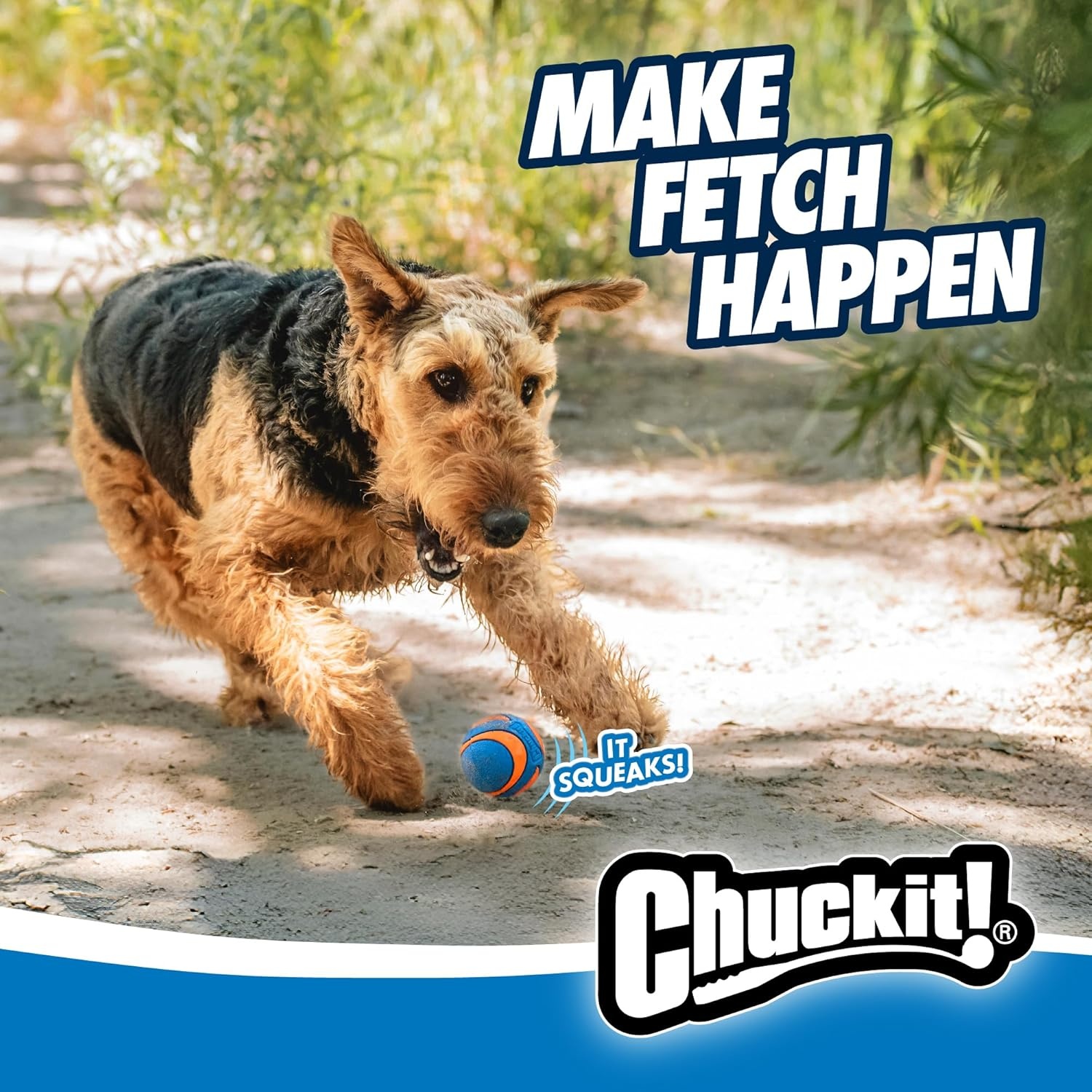 image:imageChuckit Ultra Ball Dog Toy Medium Bouncy Fetch Balls For Dogs 2060 lbs Made from Durable Rubber Floating Water Pet Toys Size Medium 25inch Diameter Pack of 4Medium
