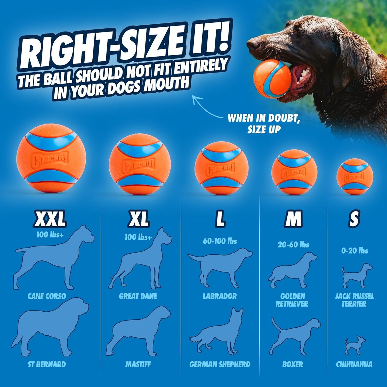 image:imageChuckit Ultra Ball Dog Toy Medium Bouncy Fetch Balls For Dogs 2060 lbs Made from Durable Rubber Floating Water Pet Toys Size Medium 25inch Diameter Pack of 4Medium