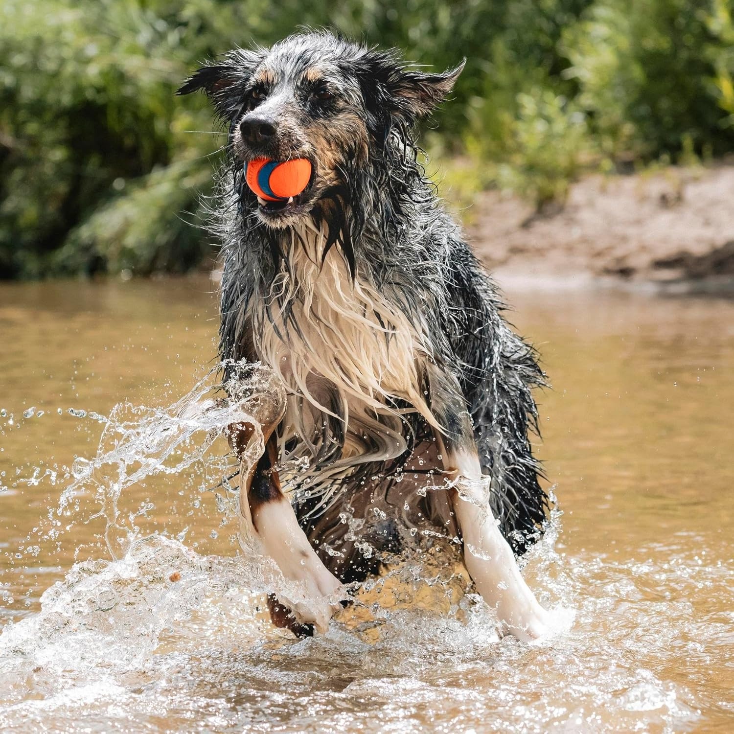 image:imageChuckit Ultra Squeaker Ball Dog Toy Large 3 Inch 1 Pack for Large BreedsUltra