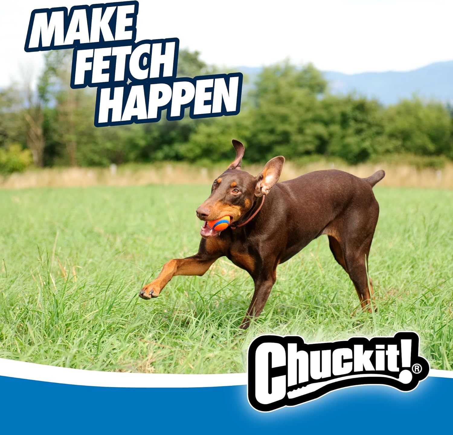 image:imageChuckit Ultra Squeaker Ball Dog Toy Large 3 Inch 1 Pack for Large BreedsUltra