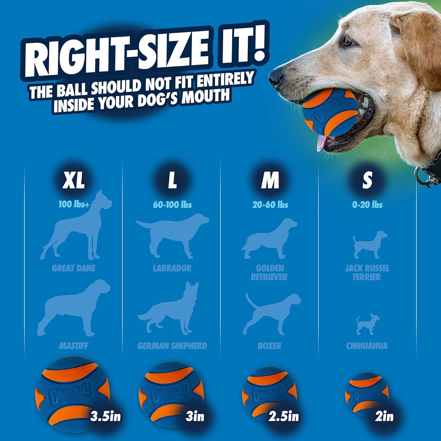image:imageChuckit Ultra Squeaker Dog Ball Fetch Toy Medium 1 PackSqueaker