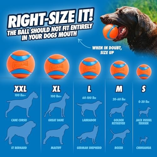 image:imageChuckit Ultra Squeaker Dog Ball Fetch Toy Medium 1 PackUltra