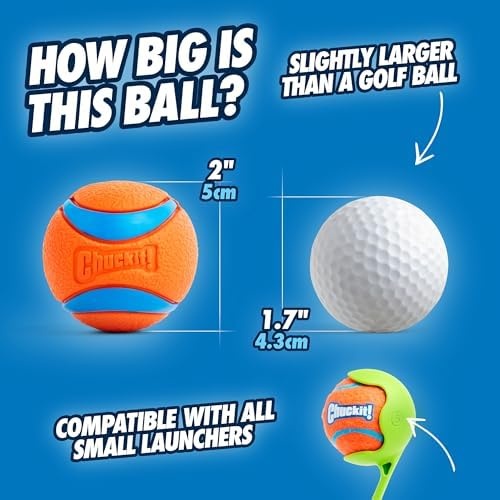image:imageChuckit Ultra Squeaker Dog Ball Fetch Toy Medium 1 PackUltra