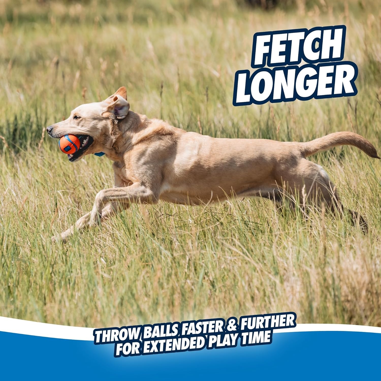 image:imageChuckit Ultra Tug Dog Toy Ultra Ball on a Durable Nylon Cord Handle Fetch and TugofWar Toy for Dogs Size Large For Breeds 60100 lbs 3inch Diameter Orange and BlueMedium