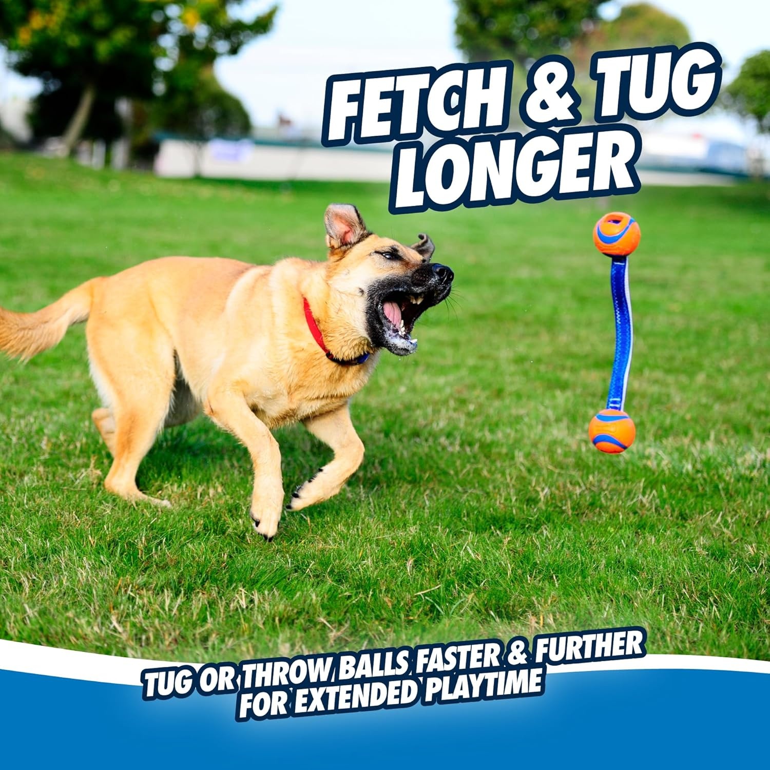 image:imageChuckit Ultra Tug Dog Toy Ultra Ball on a Durable Nylon Cord Handle Fetch and TugofWar Toy for Dogs Size Large For Breeds 60100 lbs 3inch Diameter Orange and BlueMedium