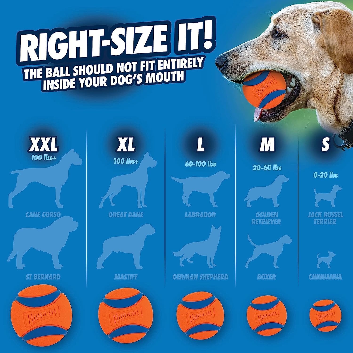image:imageChuckit Ultra Tug Dog Toy Ultra Ball on a Durable Nylon Cord Handle Fetch and TugofWar Toy for Dogs Size Large For Breeds 60100 lbs 3inch Diameter Orange and BlueSmall