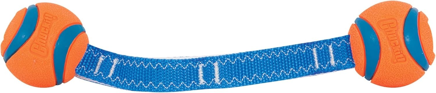 image:imageChuckit Ultra Tug Dog Toy Ultra Ball on a Durable Nylon Cord Handle Fetch and TugofWar Toy for Dogs Size Large For Breeds 60100 lbs 3inch Diameter Orange and BlueSmall