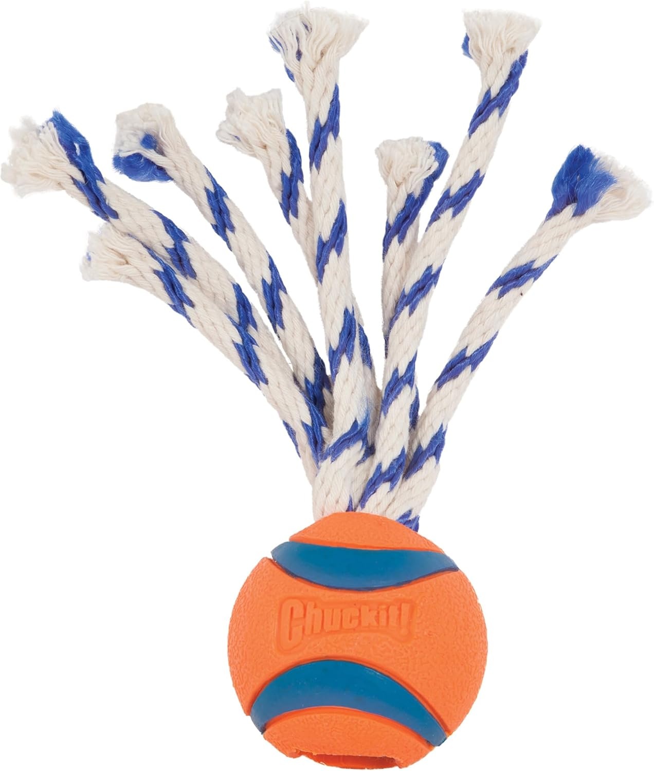 image:imageChuckit Ultra Tug Dog Toy Ultra Ball on a Durable Nylon Cord Handle Fetch and TugofWar Toy for Dogs Size Large For Breeds 60100 lbs 3inch Diameter Orange and BlueMedium
