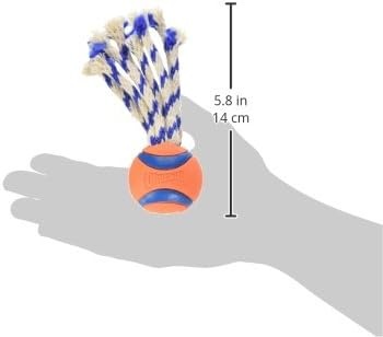 image:imageChuckit Ultra Tug Dog Toy Ultra Ball on a Durable Nylon Cord Handle Fetch and TugofWar Toy for Dogs Size Large For Breeds 60100 lbs 3inch Diameter Orange and BlueSmall