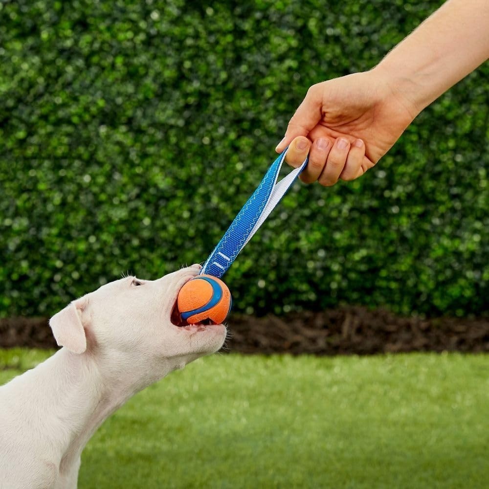 image:imageChuckit Ultra Tug Dog Toy Ultra Ball on a Durable Nylon Cord Handle Fetch and TugofWar Toy for Dogs Size Large For Breeds 60100 lbs 3inch Diameter Orange and BlueSmall