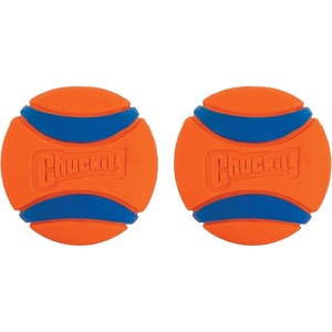 image:imageChuckit Ultra Squeaker Dog Ball Fetch Toy Medium 1 PackUltra