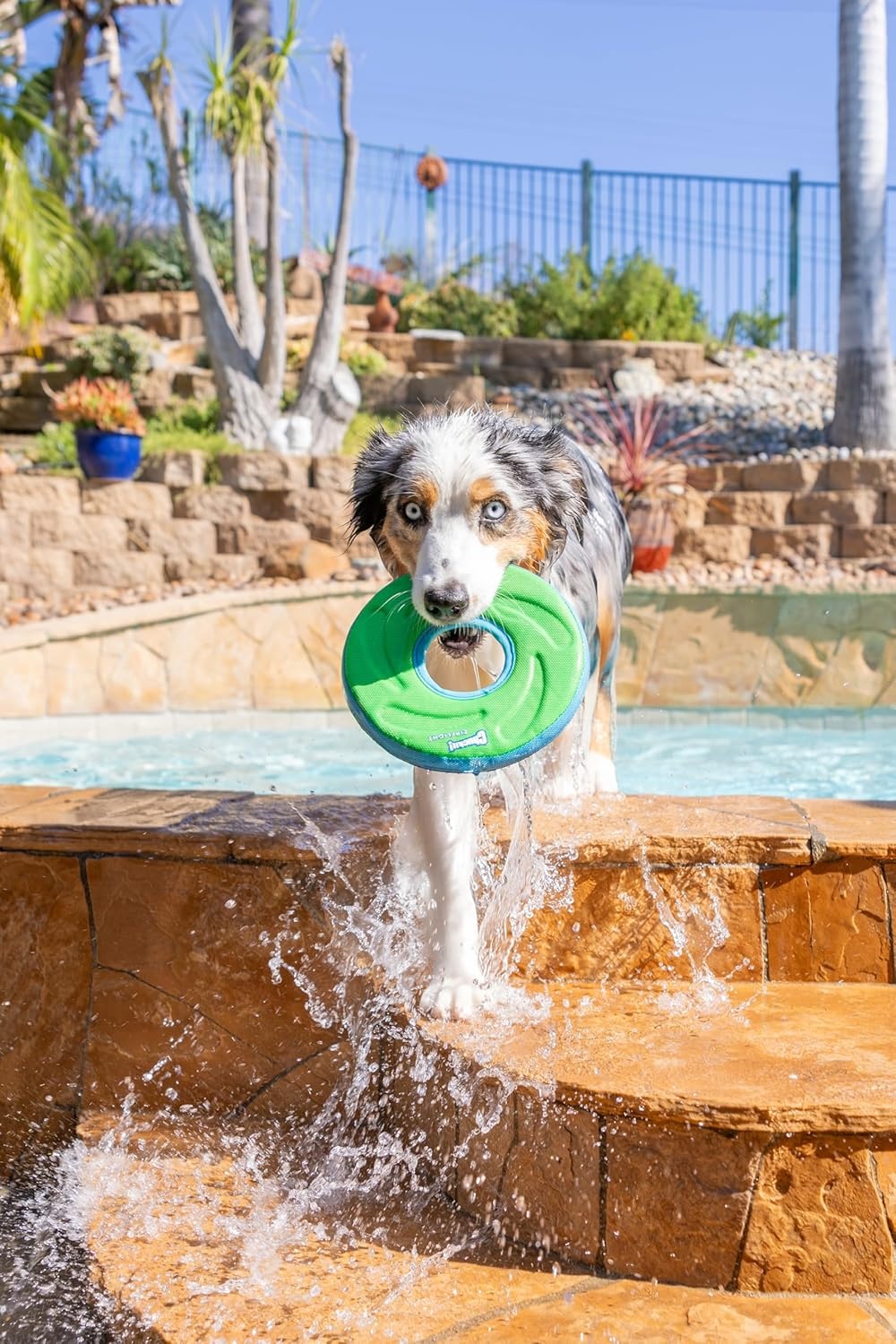 image:imageChuckit Amphibious ZipFlight Floating and Flying Disc Dog Toy Medium 85 Assorted Colors Orange And BlueGreen and BlueMedium