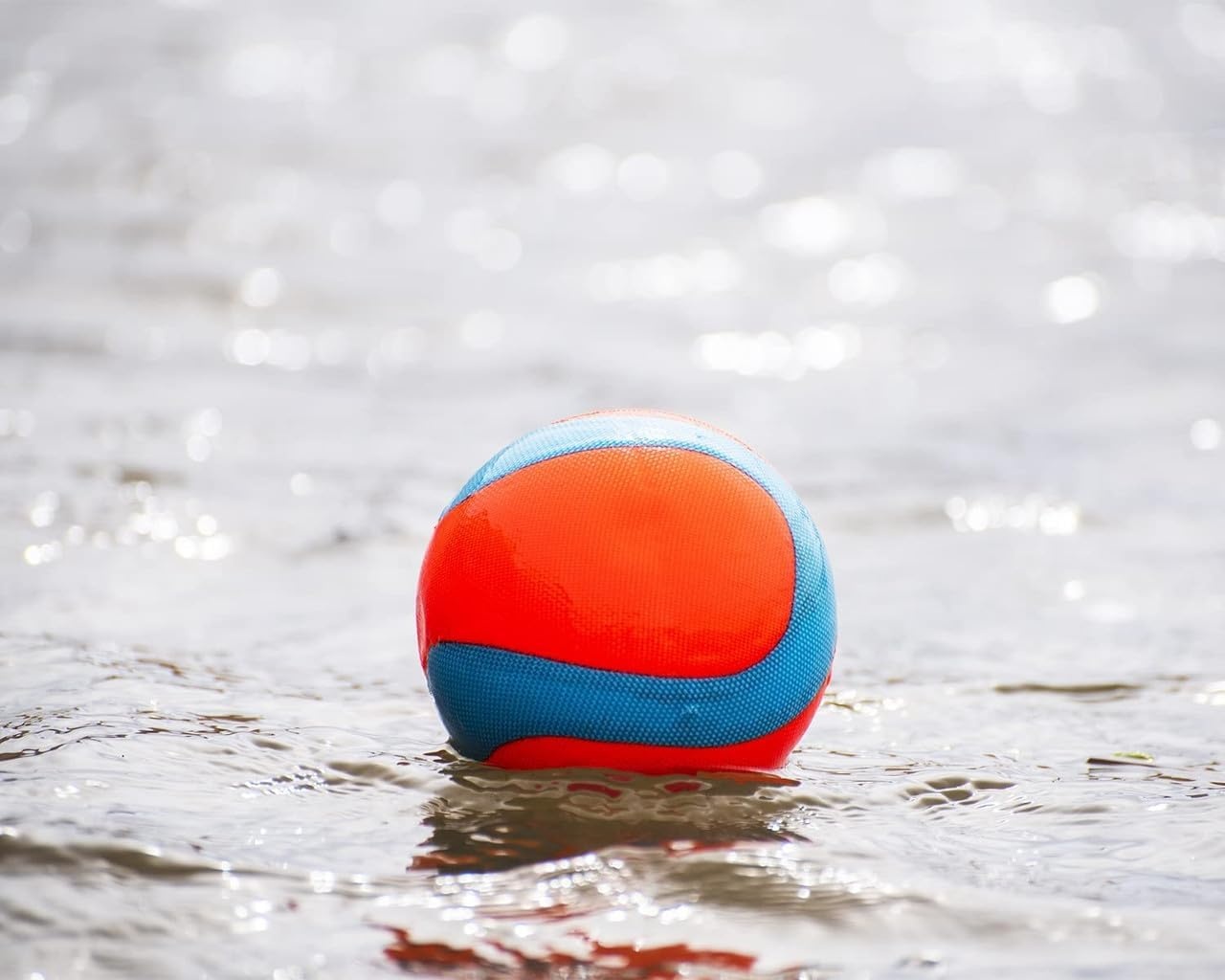 image:imageChuckit Amphibious Mega Ball or Roller That Floats for Medium and Large DogsMega Ball